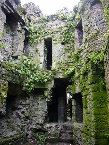 Wales (201).JPG